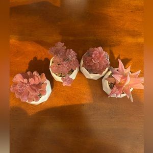 Set of 4 decorative pink succulents